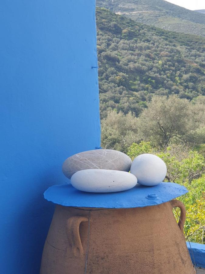 Ble 1br Vacation With Private Terrace Vakantiehuis